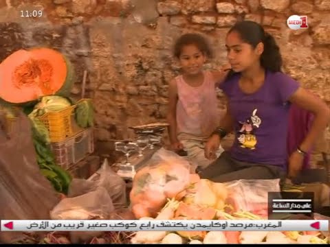 بالفيديو شاهد مشروع قانون تشغيل العمال المنزليين يثير جدلا سياسيا وحقوقيا