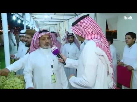 بالفيديو مهرجان للعنب في مدينة الطائف السعودية