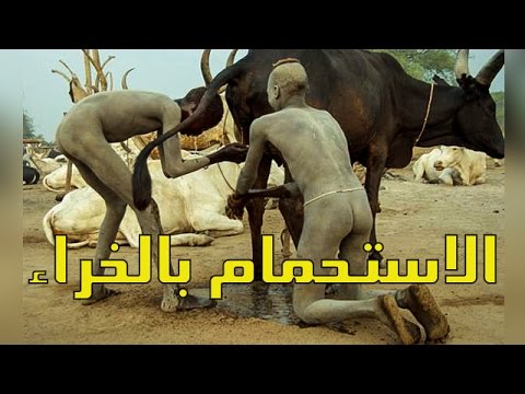 شاهد أغرب أنواع الاستحمام في العالم