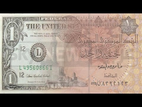 بالفيديو  الحكومة المصرية تقرر تعويم الجنيه لإنهاء أزمة الدولار