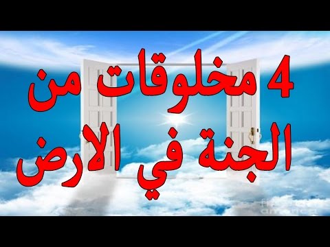 شاهد الحجر الأسود أبرز الأشياء التي نزلت من الجنة