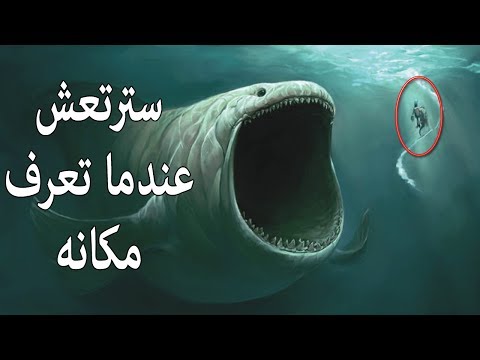 أدلة وجود الحوت الذى ابتلع سيدنا يونس على قيد الحياة حتى الآن