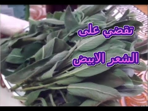 بالفيديو امزجي هذا المكون مع الشامبو