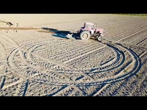 شاهد فنان إيطالي يحيي الذكرى الـ500 لرحيل دافنشي