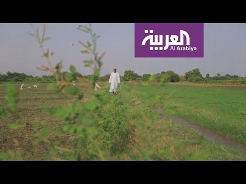 سفينة المساعدات السعودية  الإماراتية إلى السودان شكَّلت انفراجة على الموسم الزراعي