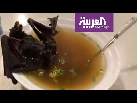 شاهد المطاعم في أندونيسيا تتحدى كورونا وتقدم أطباق من الخفافيش