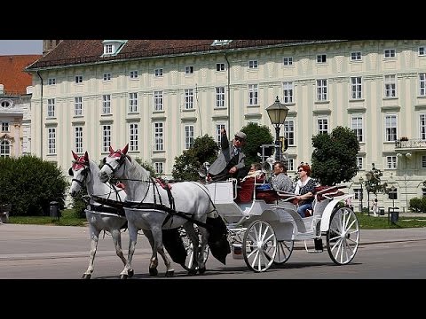 austria prepares for sundays presidential runoff with polls suggesting a norbert hofer victory