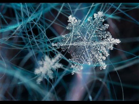 snowflake is formed from the water