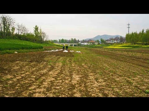 severe spring drought hits northeast china’s