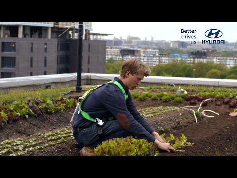 how one rooftop farm could make your city better