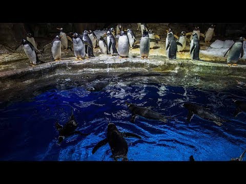 learning about sea life at hong kong’s