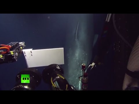 unexpected deepsea encounter