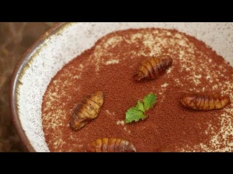 thai finediners explore insect cuisine