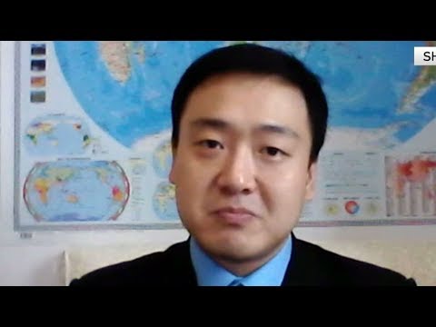 wang peng discusses diplomatic options following