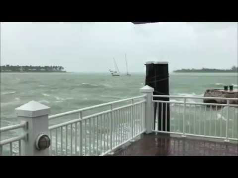 boats are breaking away from the harbour in key west