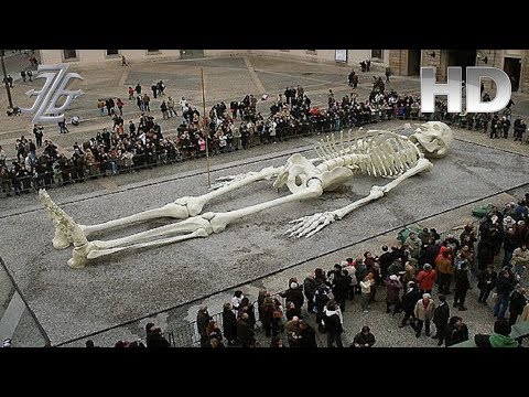 new forbidden archeology documentary on discovery