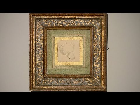 leonardo da vinci’s ‘study of a bear’s head’ debuts