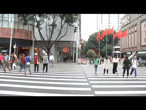 spectacular crosswalk spotted