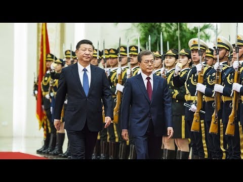 chinese president xi jinping hosts moon jaein