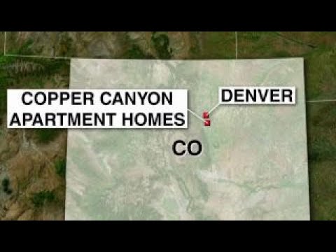 colorado deputy killed responding to domestic disturban