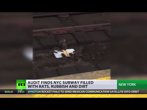 new yorker city subway ravaged by rodents