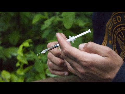 marijuana still most popular drug in the eu