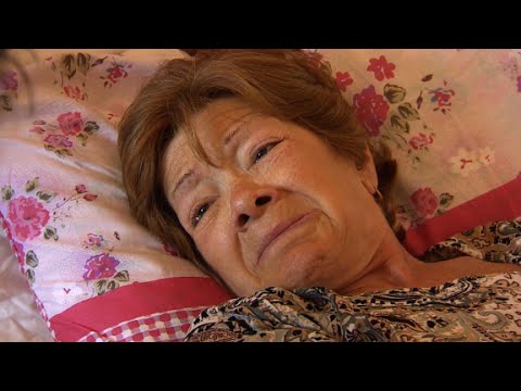 survivors describe tunisia attack