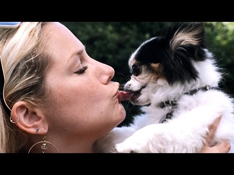 dogs kiss their humans in slow motion