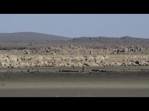 botswana agriculture hardhit by drought