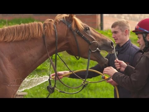 youngster jockey and his big day