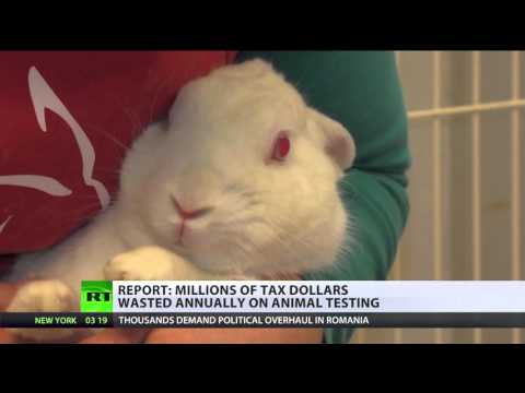 96m to inject lsd in rabbits