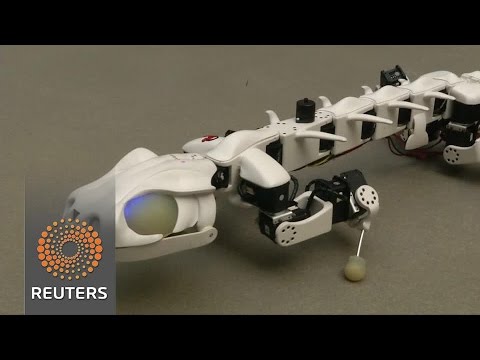 robot salamander helping scientists