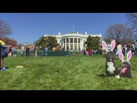 white house easter egg roll