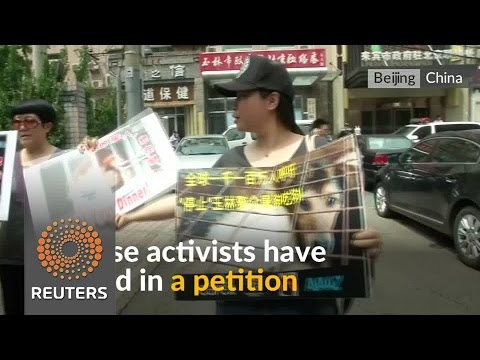 chinese protesters deliver biggest ever petition against yulins