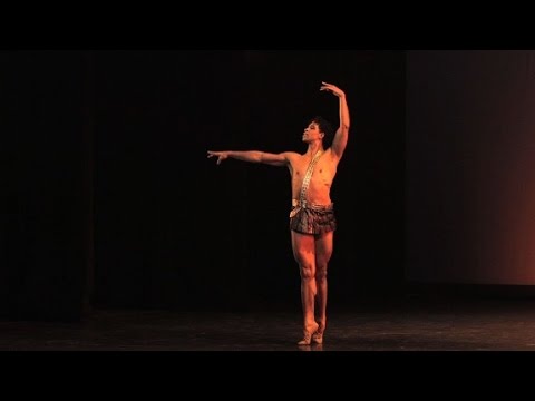 from humble beginnings to ballet stardom