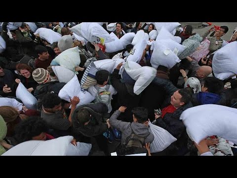 pillow fight breaks out on april