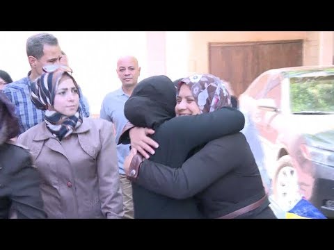 syrian government released 672 detainees