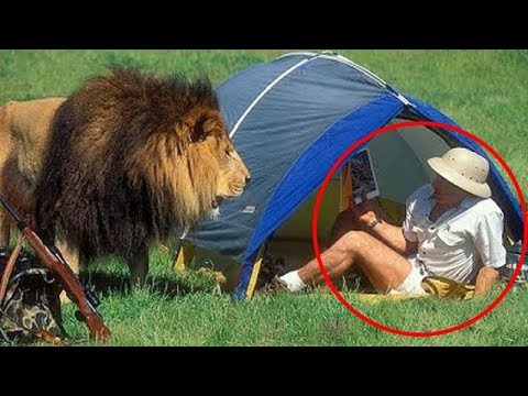 incredible near death animal encounters filmed on camera