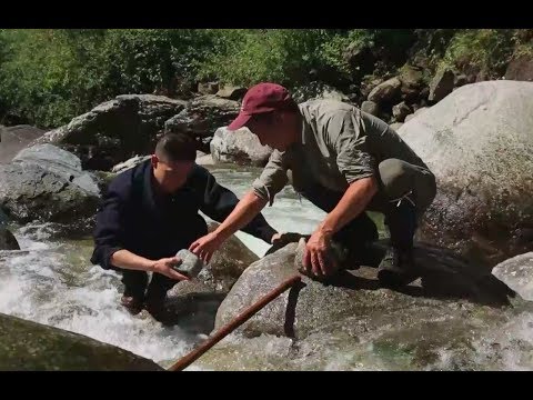 from loggers to forest rangers