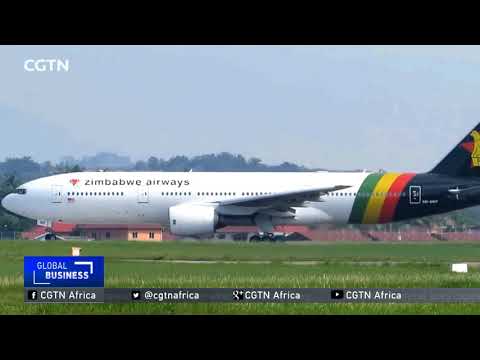 new homegrown zimbabwe airline to take