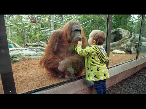 kids and wild animals at the zoo